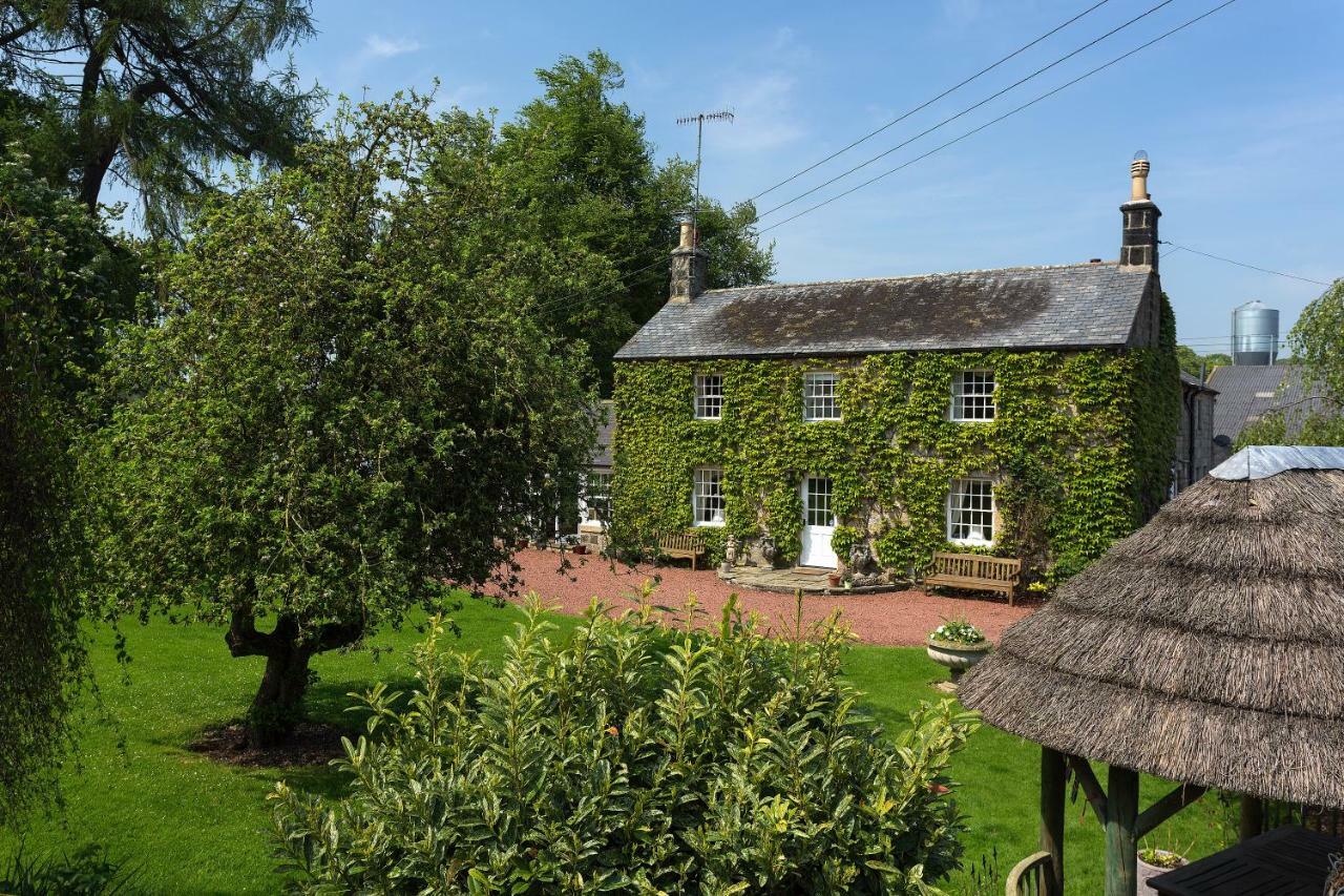 Thistleyhaugh Farmhouse Longhorsley Exterior photo